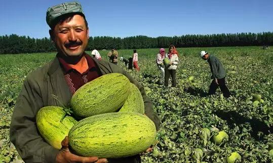 新疆之行,心之所向的深度感悟