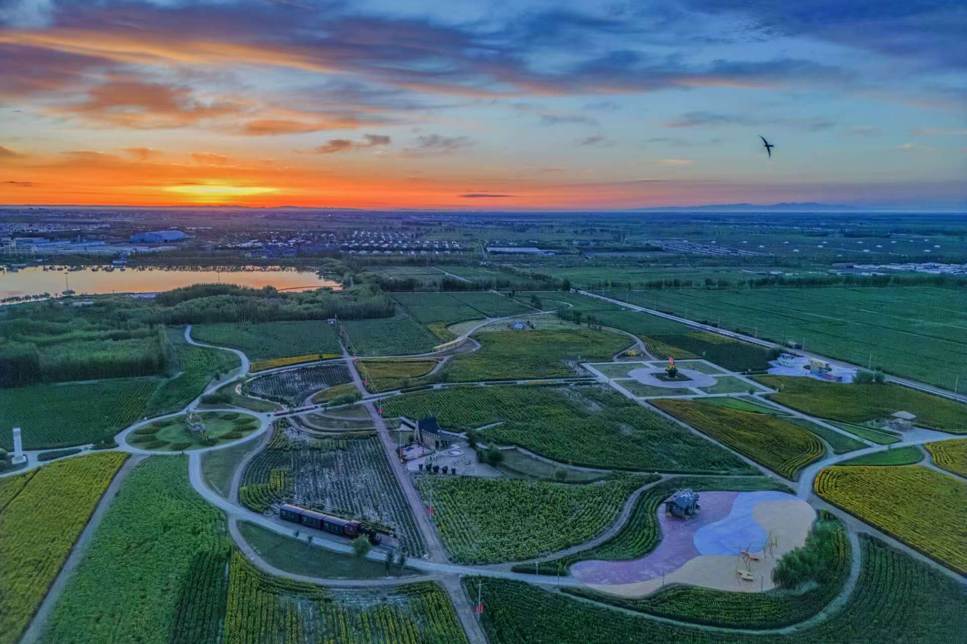 巴彦淖尔传统奶制品制作详细步骤指南(初学者必读)