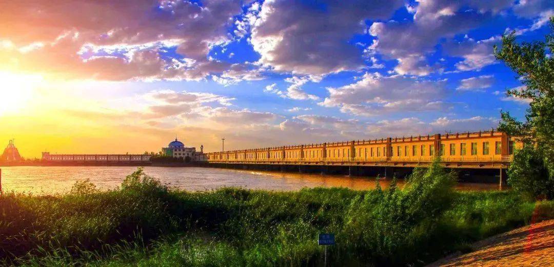 巴彦淖尔传统奶制品制作详细步骤指南(初学者必读)